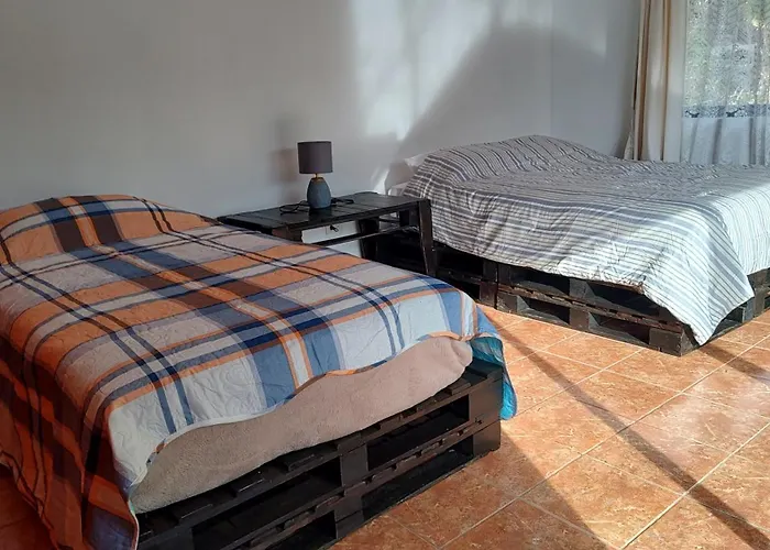 Persea Inn Finca Integral Sostenible Organica Toro Careto