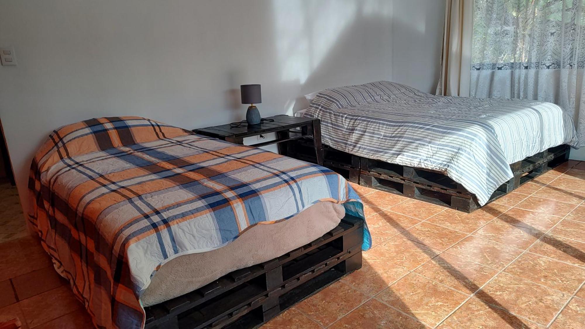 Lodge Persea Integral Sostenible Organica Toro Careto Copey