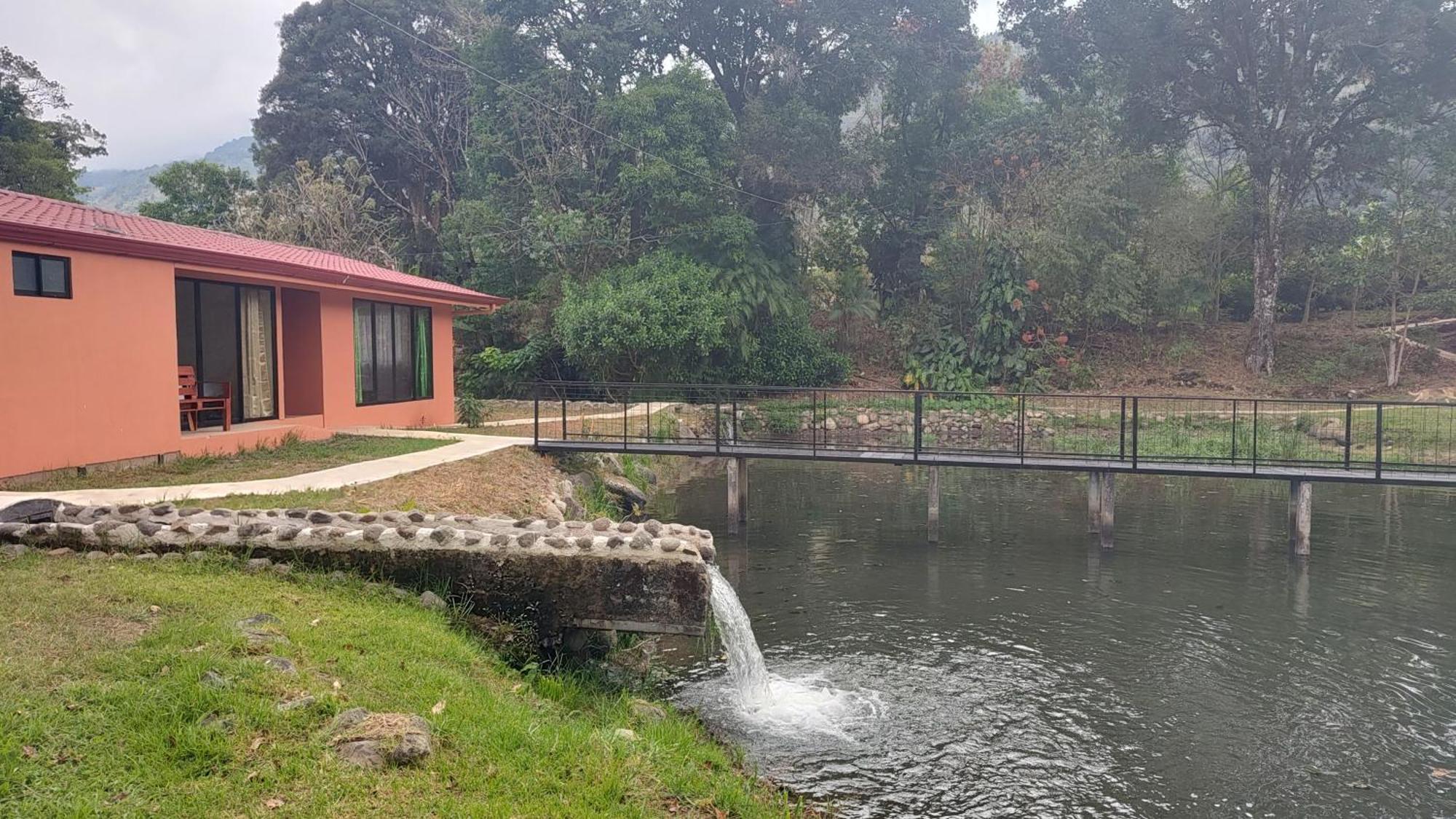 Lodge Persea Integral Sostenible Organica Toro Careto Copey